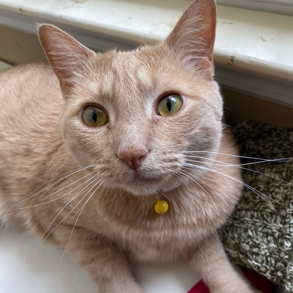 This is Hollie!